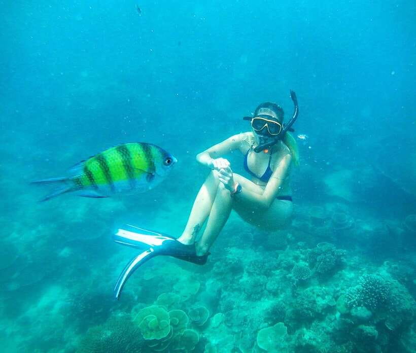 From Koh Lanta: Koh Haa & Koh Rok Snorkel Tour by Speedboat - Group size, guide service, and the feel of the day