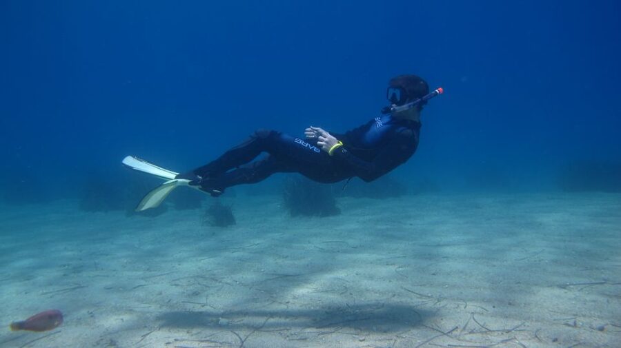 From Kos: Pserimos Island Snorkeling Cruise by Diving Boat - Key points at a glance