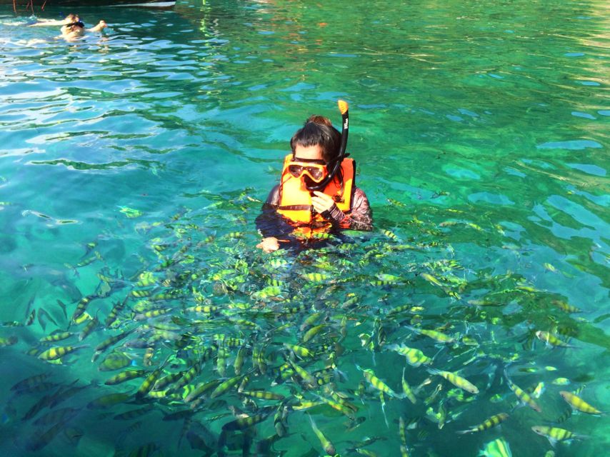 From Krabi: 4 Islands Snorkeling Tour by Speed Boat - Chicken Island closes the island circuit