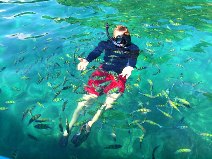 From Krabi: 4 Islands Snorkeling Tour by Speed Boat - What the $41 price really covers
