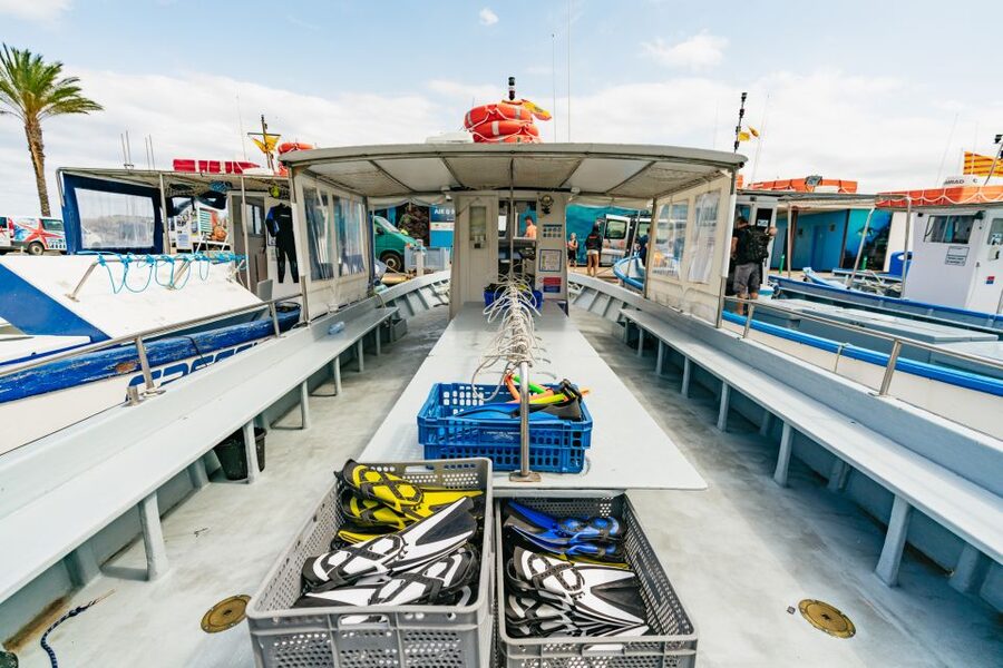 From L’Estartit: Snorkeling Trip to the Medes Islands - Should you book the Medes Islands snorkeling trip?