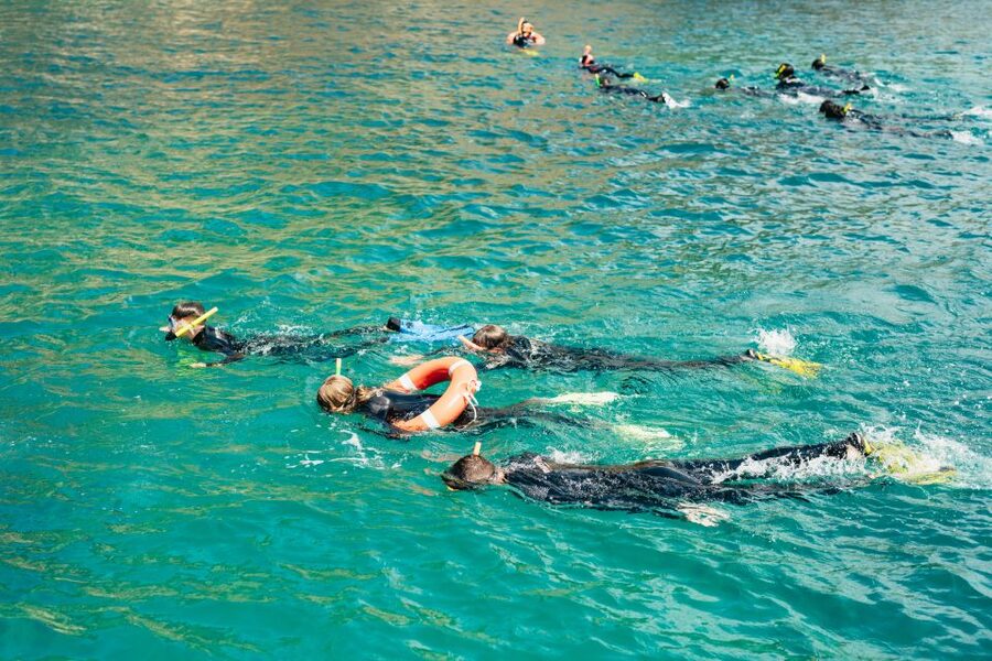 From L’Estartit: Snorkeling Trip to the Medes Islands - Why the Medes Islands make a good snorkeling outing