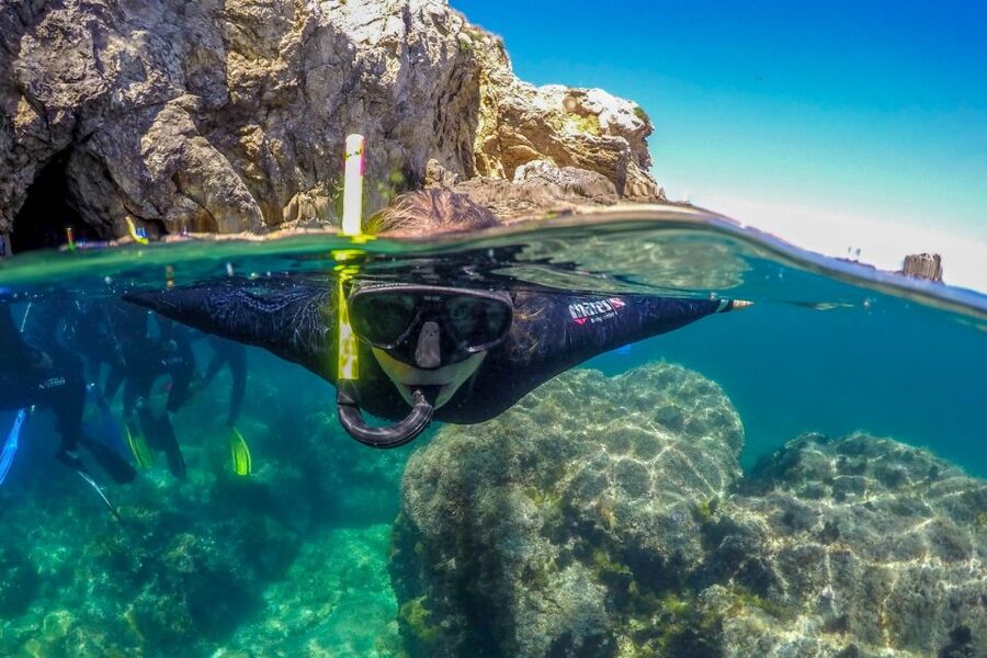 From L’Estartit: Snorkeling Trip to the Medes Islands - Who will enjoy this trip most