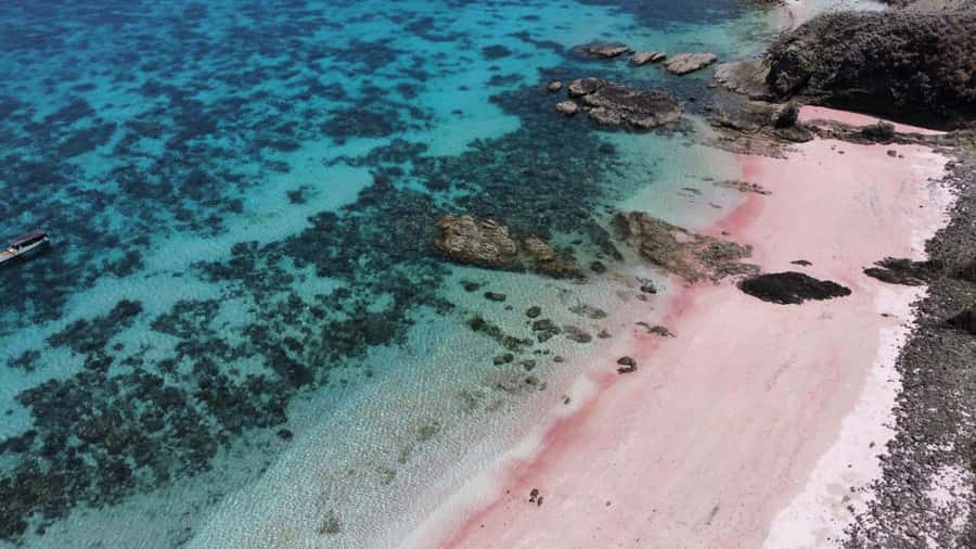 From Labuan Bajo Explore komodo island & Snorkeling - Pink Beach for swimming, photos, and quiet time