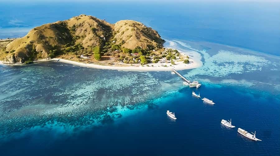 From Labuan Bajo: Komodo Island Day Tour with Snorkeling - Komodo Island puts the dragons in context