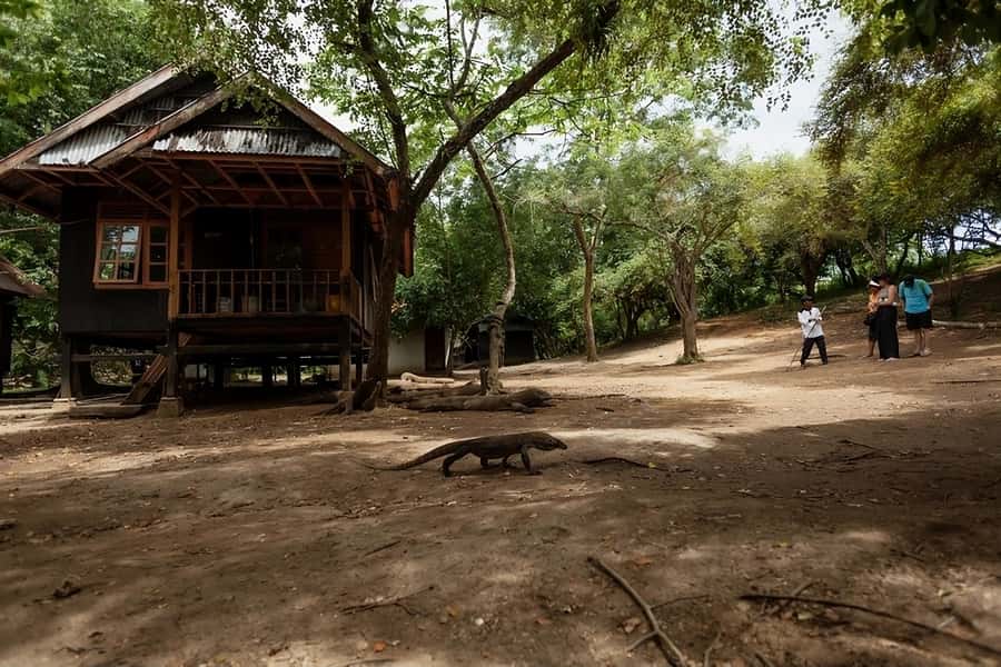 From Labuan Bajo: Komodo Island Day Tour with Snorkeling - Food, boat comfort, and the long ride home