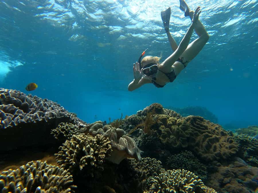 From Lembongan: Manta Point Snorkeling & West Penida Tour - Kelingking Cliff is the big afternoon view
