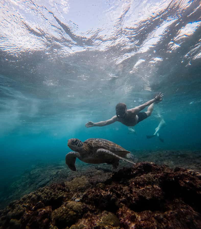 From Lembongan: Manta Point Snorkeling & West Penida Tour - Broken Beach and Angel’s Billabong