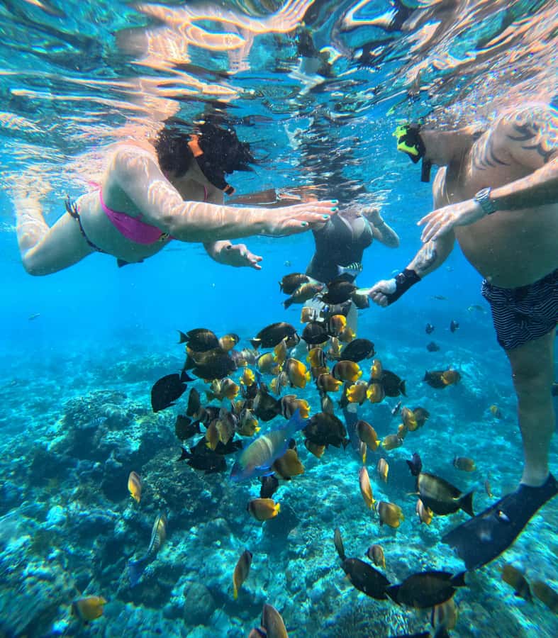 From Lembongan: Nusa Penida Private Snorkeling & West Tour - Lunch and the rough west coast roads