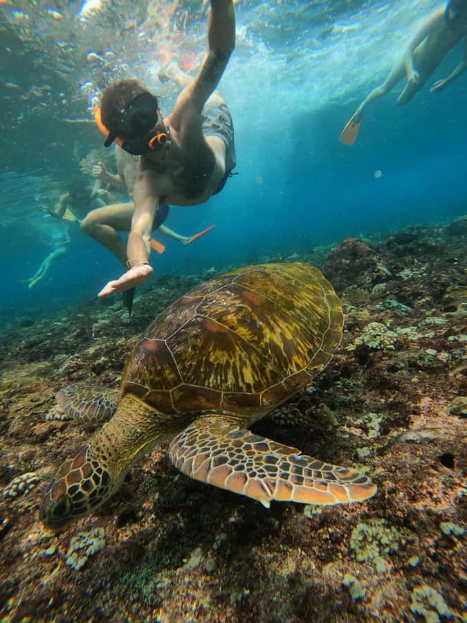 From Lembongan: Nusa Penida Private Snorkeling & West Tour - Broken Beach and Pasih Uug