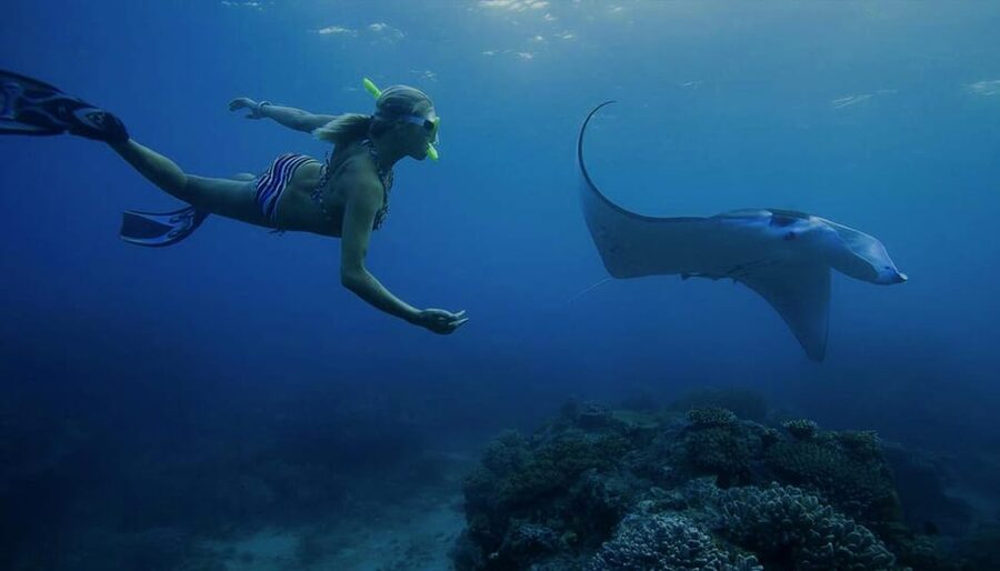 From Lembongan: Nusa Penida Private Snorkeling & West Tour - The return to Lembongan