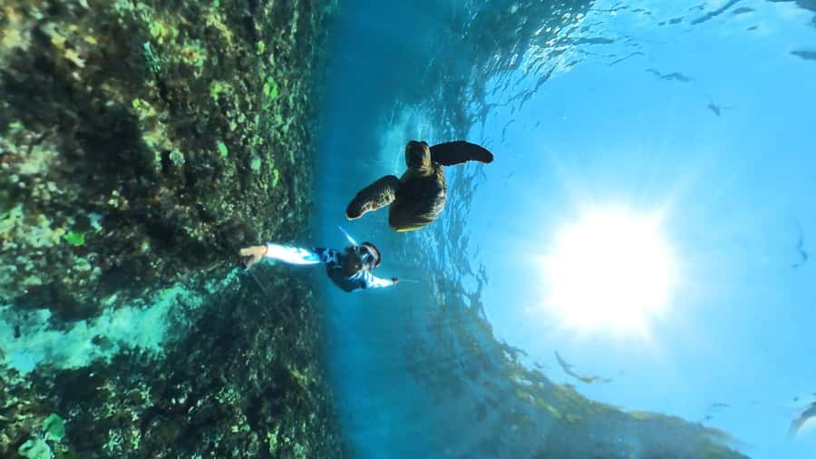 From Lembongan: Nusa Penida Snorkeling Day Trip - Key points to know before booking