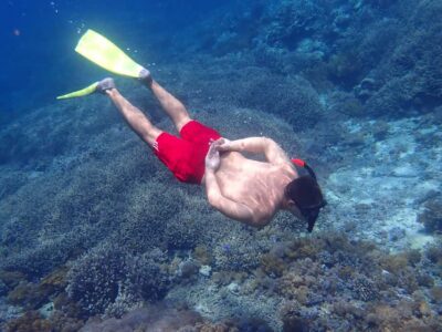 From Lembongan: Nusa Penida Snorkeling Day Trip