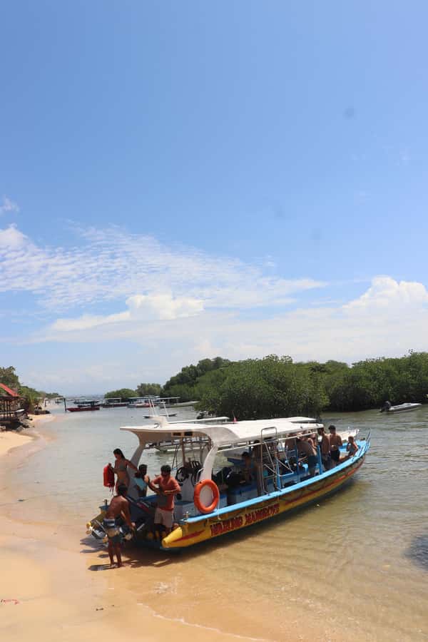 From Lembongan: Snorkeling 3 Spots, Mangrove and Land Tour - Lunch, mangroves, and the short island tour