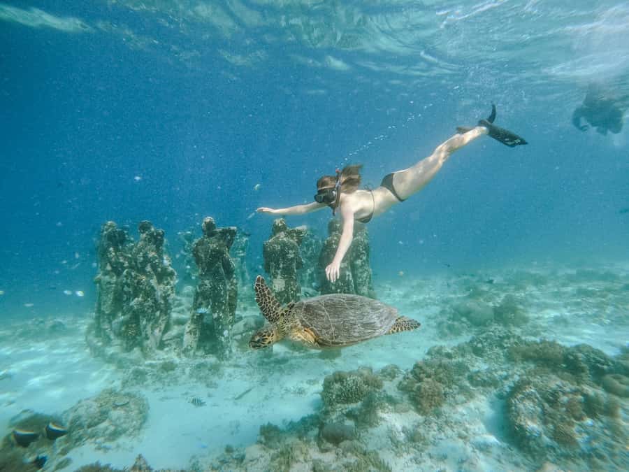 From Lombok: 3 Gili Islands Private Snorkeling Adventure - A full day from Lombok to the three Gilis