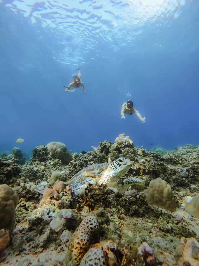 From Lombok: 3 Gili Islands Private Snorkeling Adventure - The guides and GoPro service