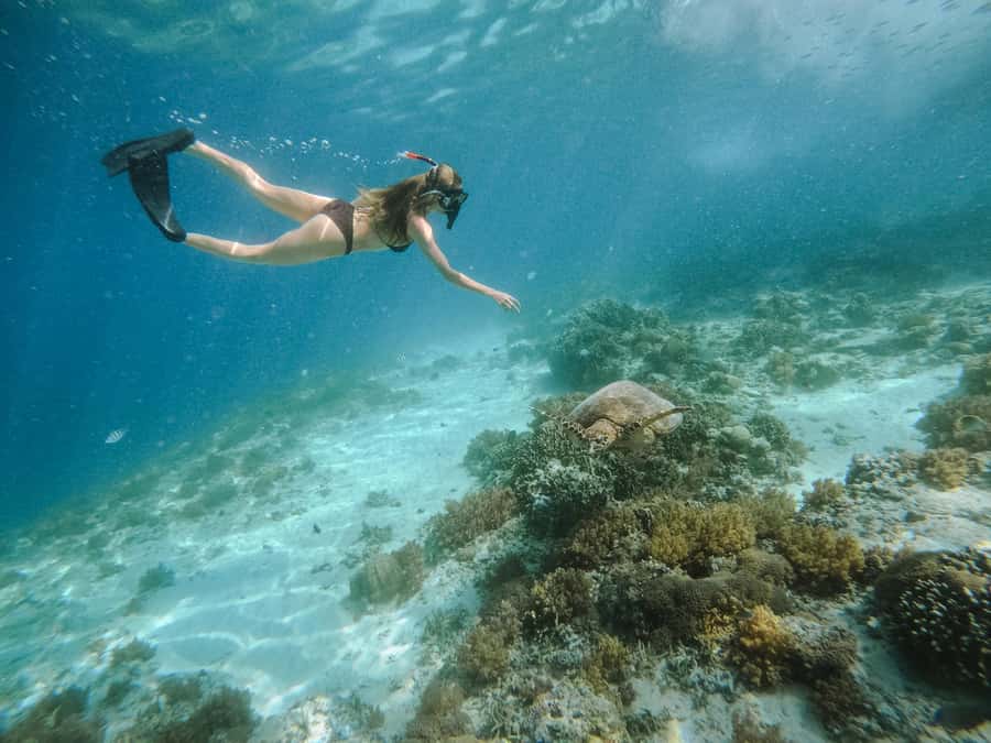 From Lombok: 3 Gili Islands Private Snorkeling Adventure - When this tour is a good fit