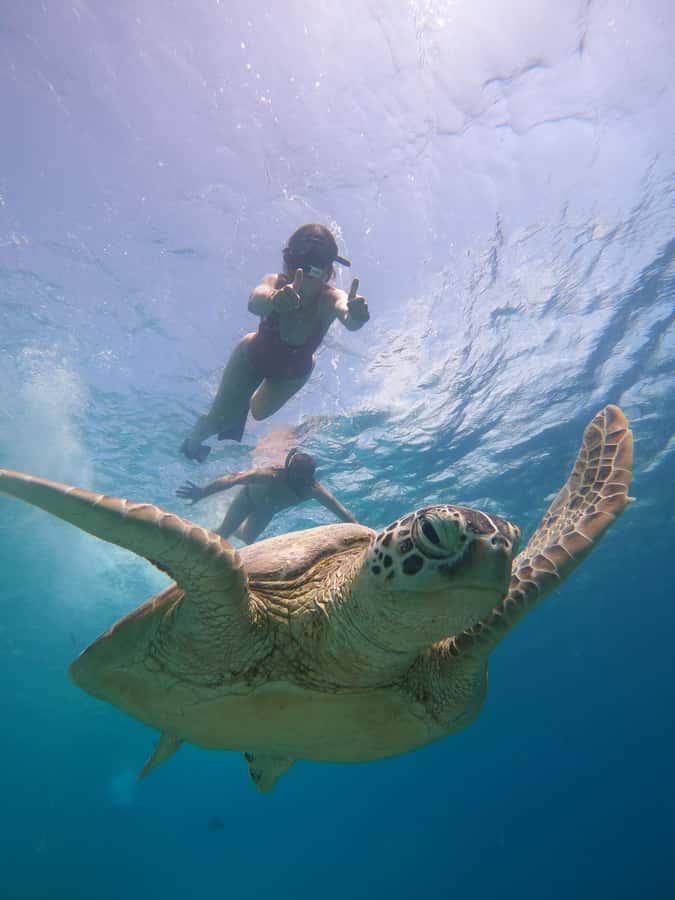From Lombok: Gili Islands Snorkeling Day Trip - Practical details that affect your day