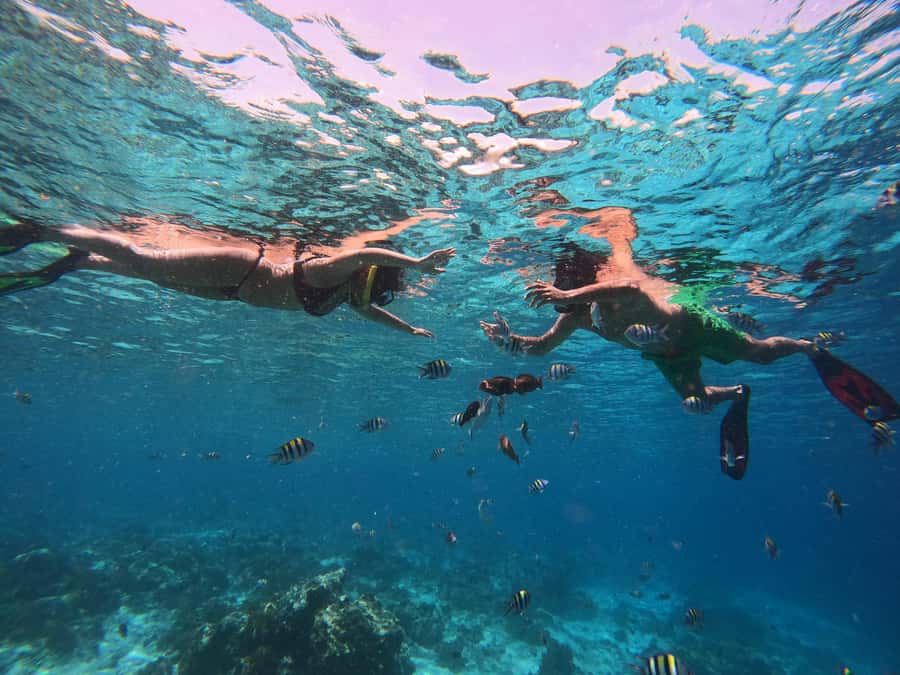 From Lombok: Gili Islands Snorkeling Day Trip - Who should book this Gili snorkeling trip?