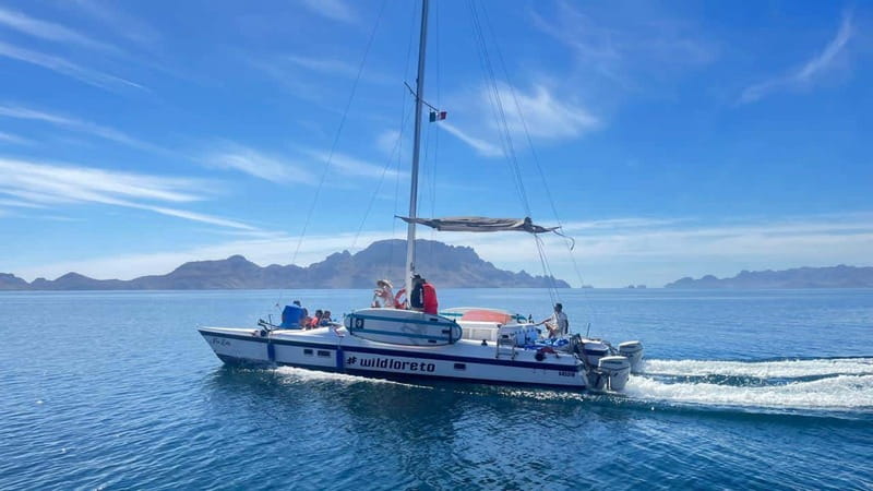 From Loreto: Snorkeling Catamaran Cruise - Lunch, drinks, and a relaxed return sail