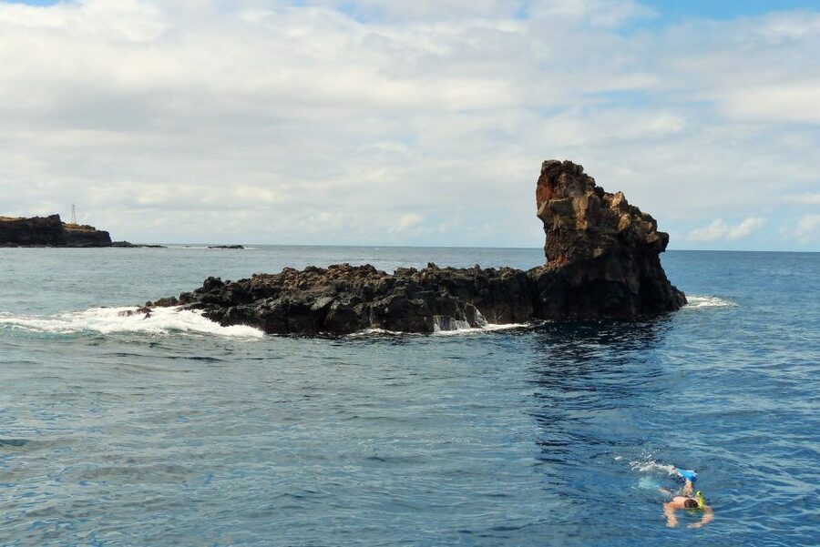 From Ma'alaea: Turtle Town Snorkel aboard Quicksilver - Booking details worth remembering