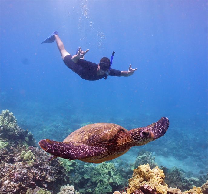 From Ma'alaea: Turtle Town Snorkel aboard Quicksilver - Leaving Maalaea Harbor on the Quicksilver