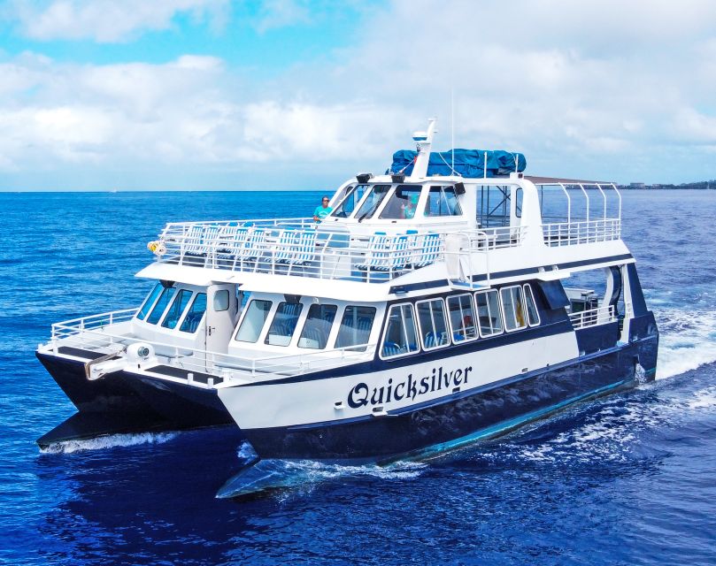 From Ma'alaea: Turtle Town Snorkel aboard Quicksilver - The boat’s slide and jumping platform