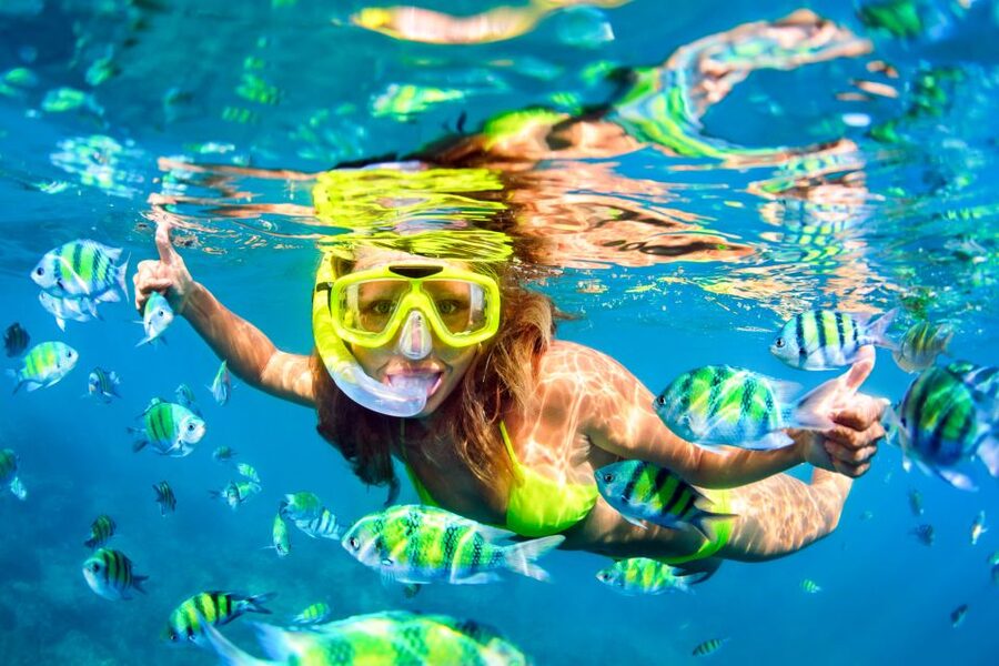 From Ma'alaea: Turtle Town Snorkel aboard Quicksilver - Is $99 a fair price?