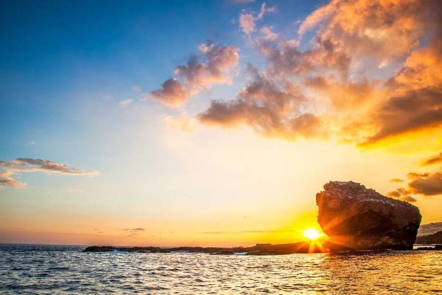 From Ma'alaea: Turtle Town Snorkel aboard Quicksilver - Who should book this Maui snorkel trip?