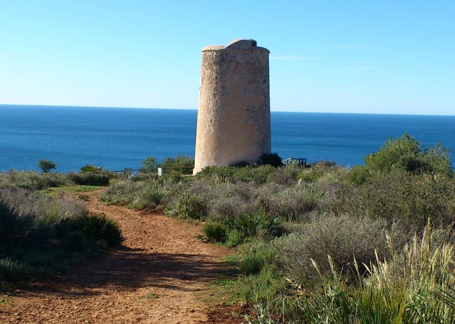 From Malaga: Cliffs of Maro Hike w/ Beach Visit & Snorkeling - Walking among tropical crops and coastal plants