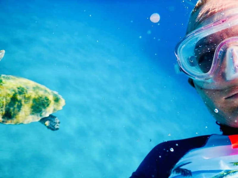 From Milopotas: Ios Island Scenic Snorkeling Cruise - Who will enjoy this Ios boat trip