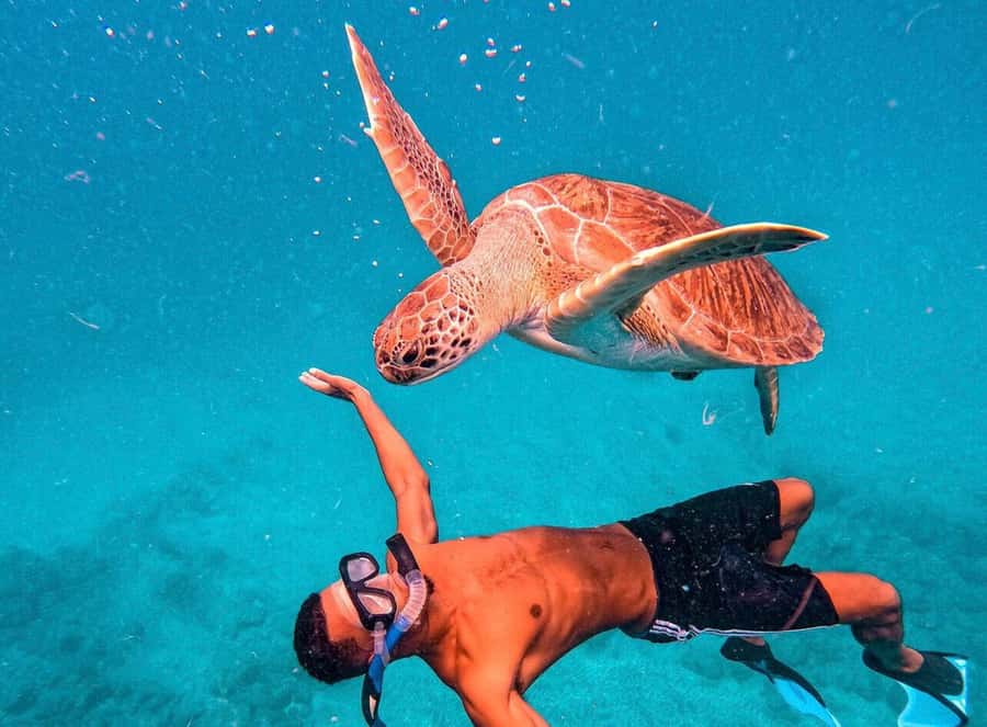 From Mindelo: São Vicente's Enchanting Sea Turtle Snorkeling - São Pedro is the reason to go