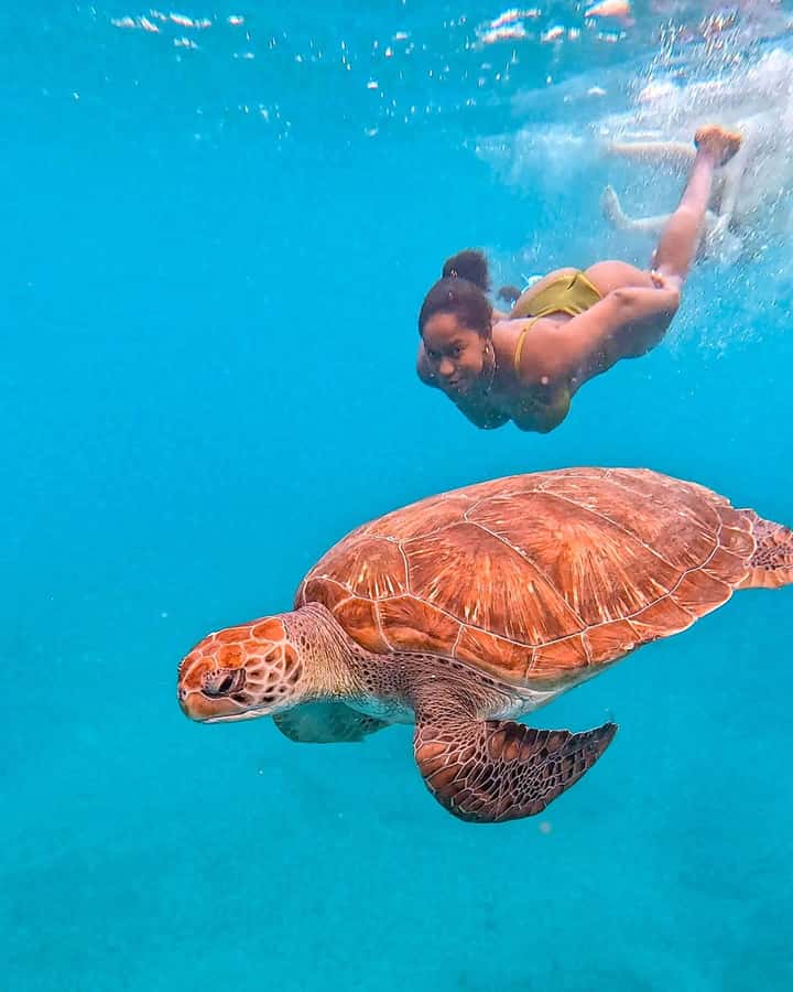 From Mindelo: Snorkel and Swim with Sea Turtles - Meeting sea turtles at São Pedro Beach