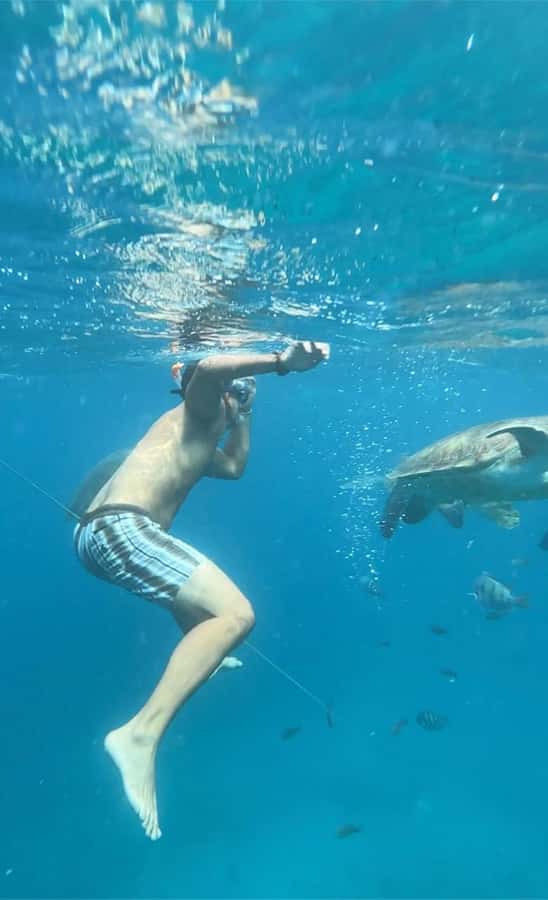 From Mindelo: Snorkel and Swim with Sea Turtles - Snorkeling beside the turtles