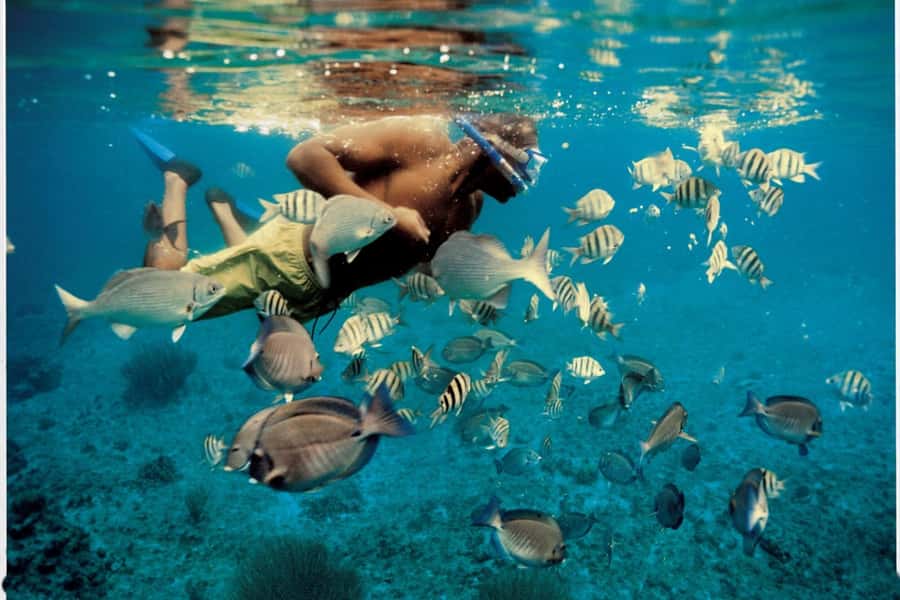 From Muscat: Dimaniyat Islands Snorkeling Tour - Why the Dimaniyat Islands are worth the boat ride