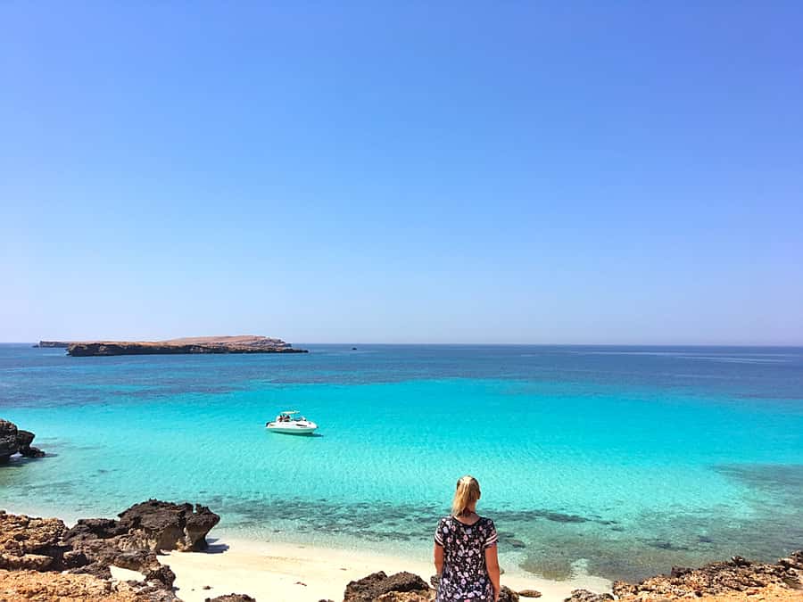 From Muscat: Dimaniyat Islands Snorkeling Tour - Is $85 a fair price?