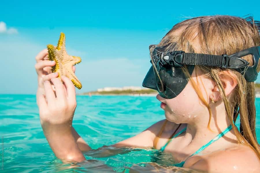From Muscat: Dimaniyat Islands Snorkeling Tour - Starting in Muscat: pickup and the road to the marina