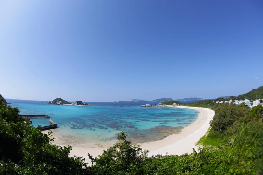 From Naha: Snorkeling Tour to Kerama by Ferry - What you see beneath the surface