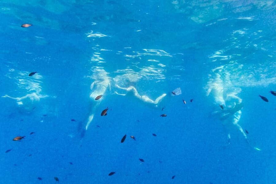 From Nice: French Riviera Swimming and Snorkeling Cruise - How Much Time You Really Get