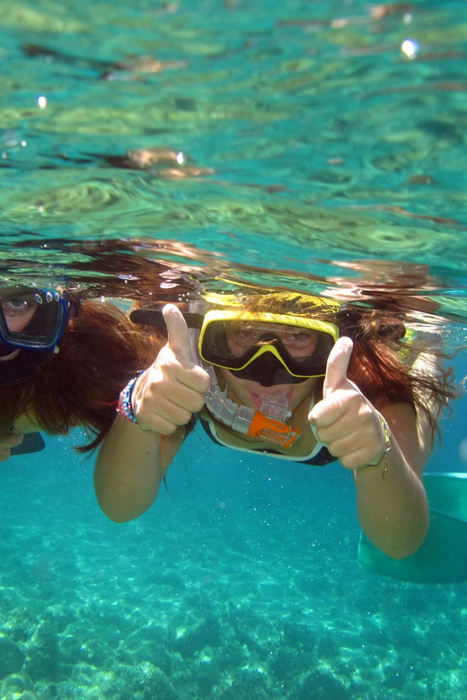 From Nice: Villefranche Bay Swimming & Snorkeling Boat Tour - What the captain and staff provide
