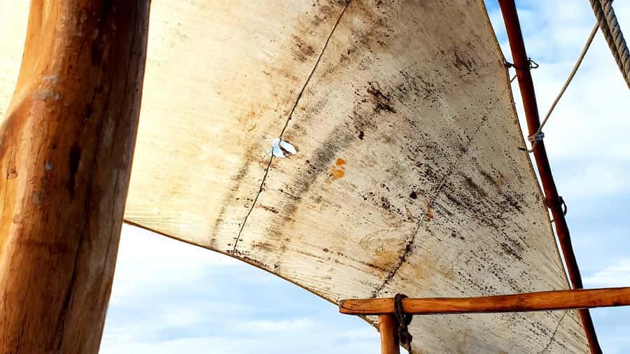 From Nungwi : Mnemba Boat Trip and Dolphin Snorkel Adventure - Mnemba Boat Trip Highlights