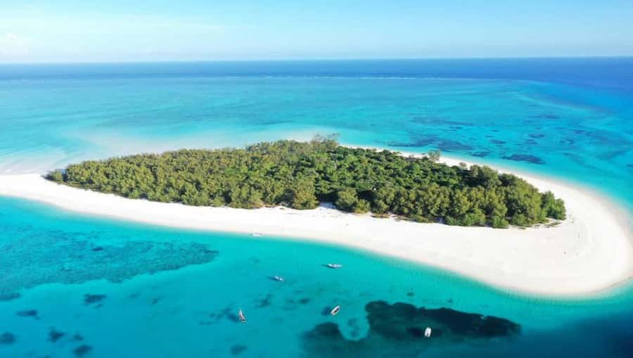 From Nungwi : Mnemba Boat Trip and Dolphin Snorkel Adventure - Looking for Dolphins in Open Water