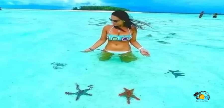 From Nungwi: Mnemba Island Dolphin Watching and Snorkeling - Value at $60 Per Person