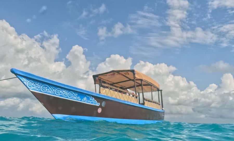 FROM NUNGWI; MNEMBA SNORKELING AND DOLPHIN TOUR - Fruit, Sea Stars, and the Sandbank Stop