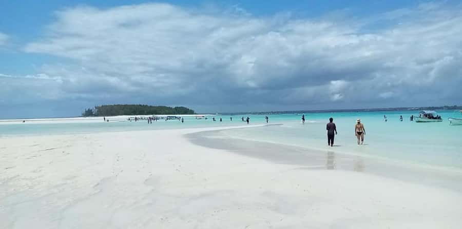 FROM NUNGWI; MNEMBA SNORKELING AND DOLPHIN TOUR - Practical Tips Before You Go