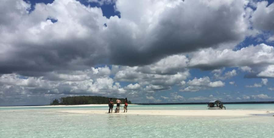 FROM NUNGWI; MNEMBA SNORKELING AND DOLPHIN TOUR - Cancellation and Booking Flexibility