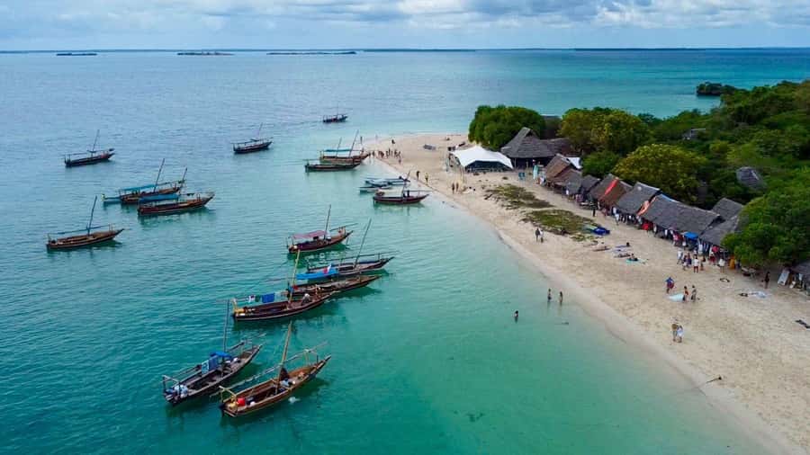 From Nungwi: Safari Blue Snorkeling Tour with Lunch - A Long Day from Nungwi to Fumba