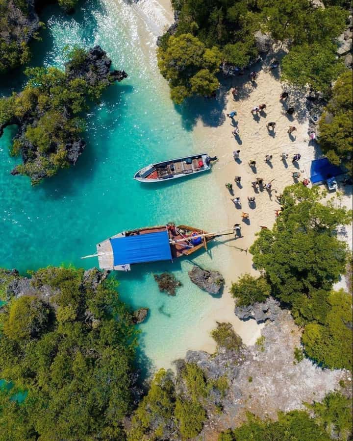 From Nungwi: Safari Blue Snorkeling Tour with Lunch - Sandbank Swimming in Clear, Shallow Water