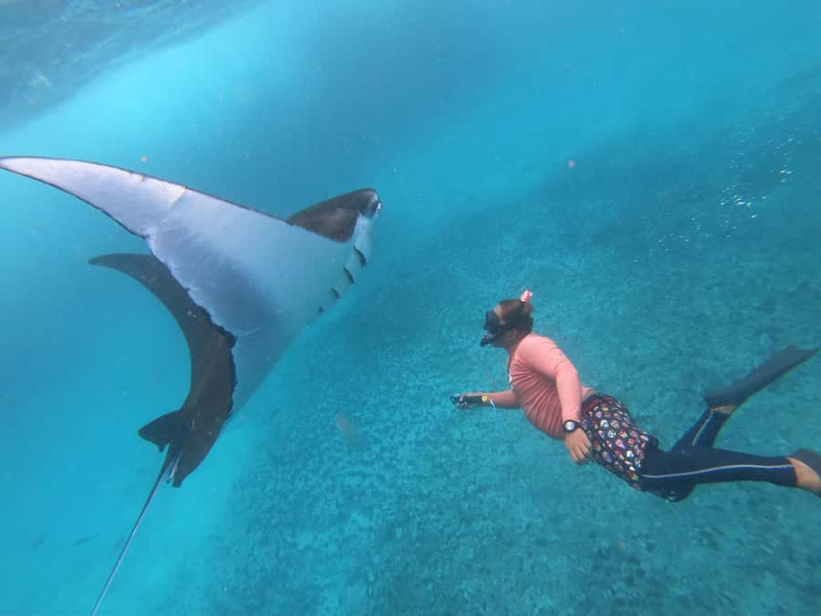 From Nusa Penida: 3 Spots Snorkeling Tour with Manta Rays - Five things worth knowing before you book