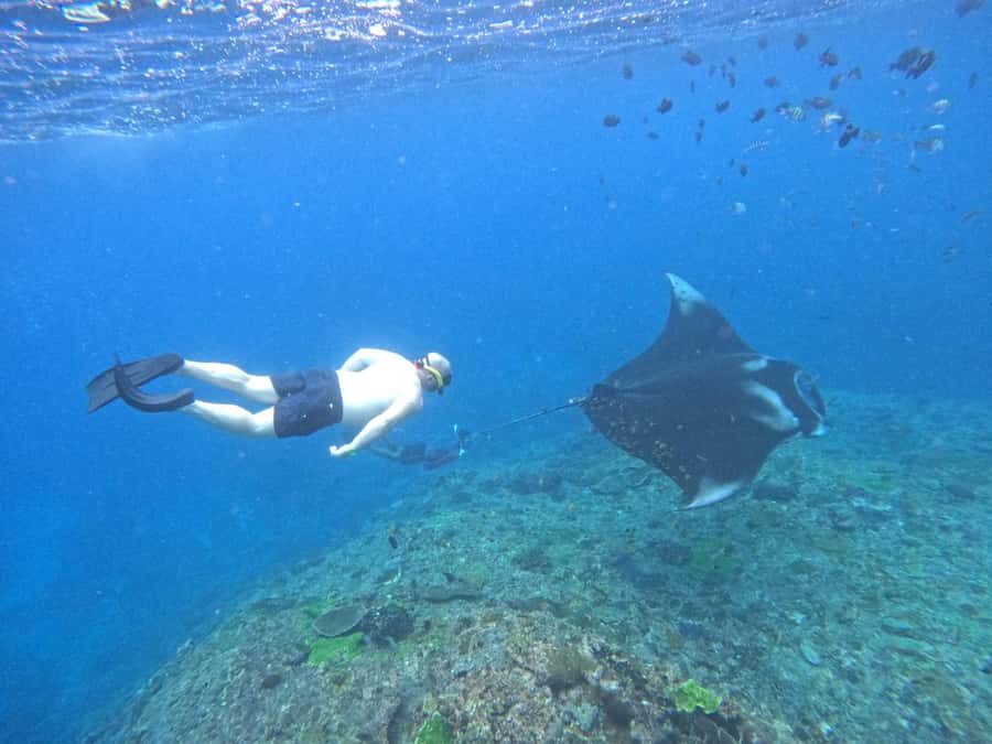 From Nusa Penida: 3 Spots Snorkeling Tour with Manta Rays - Meeting the boat at Toyapakeh Harbour